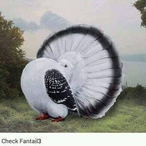 Meet your Posher, Jose reyes